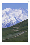 Road in Thorofare Pass Below Mt. McKinley by Anonymous