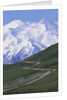 Road in Thorofare Pass Below Mt. McKinley by Anonymous