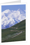 Road in Thorofare Pass Below Mt. McKinley by Anonymous