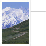 Road in Thorofare Pass Below Mt. McKinley by Anonymous
