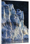 Sunset Light on Face of Lamplugh Glacier by Anonymous