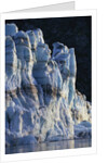 Sunset Light on Face of Lamplugh Glacier by Anonymous