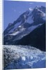 Mount Orville Above Johns Hopkins Glacier in Alaska by Anonymous