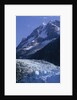 Mount Orville Above Johns Hopkins Glacier in Alaska by Anonymous