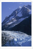 Mount Orville Above Johns Hopkins Glacier in Alaska by Anonymous