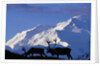 Caribou Grazing Near Wonder Lake Below Mt. McKinley by Anonymous