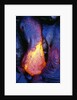 Lava Flowing from Kilauea by Anonymous