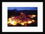 Pahoehoe Lava from Kilauea by Anonymous