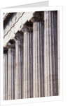Fluted Marble Columns of the Parthenon by Anonymous