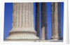 Ionic Marble Columns of the Erechtheion by Anonymous