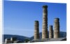 Doric Columns of the Temple of Apollo in Delphi by Anonymous