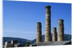 Doric Columns of the Temple of Apollo in Delphi by Anonymous