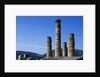 Doric Columns of the Temple of Apollo in Delphi by Anonymous
