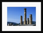 Doric Columns of the Temple of Apollo in Delphi by Anonymous