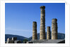 Doric Columns of the Temple of Apollo in Delphi by Anonymous
