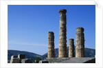 Doric Columns of the Temple of Apollo in Delphi by Anonymous