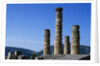 Doric Columns of the Temple of Apollo in Delphi by Anonymous
