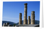Doric Columns of the Temple of Apollo in Delphi by Anonymous