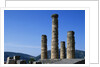 Doric Columns of the Temple of Apollo in Delphi by Anonymous