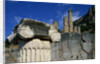 Ionic Marble Column Below Temple of Apollo by Anonymous
