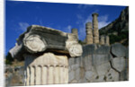 Ionic Marble Column Below Temple of Apollo by Anonymous