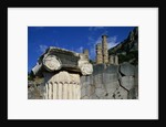 Ionic Marble Column Below Temple of Apollo by Anonymous