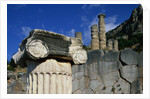 Ionic Marble Column Below Temple of Apollo by Anonymous