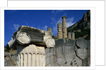 Ionic Marble Column Below Temple of Apollo by Anonymous