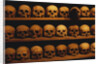 Shelves of Monk Skulls at Great Meteoron Ossuary by Anonymous