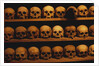 Shelves of Monk Skulls at Great Meteoron Ossuary by Anonymous