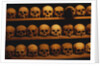 Shelves of Monk Skulls at Great Meteoron Ossuary by Anonymous