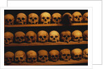 Shelves of Monk Skulls at Great Meteoron Ossuary by Anonymous