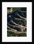 Switchbacks in Northern Greece by Anonymous