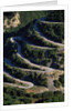Switchbacks in Northern Greece by Anonymous