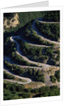 Switchbacks in Northern Greece by Anonymous