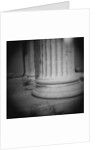 Columns of the Erechtheion by Anonymous
