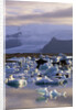 Icebergs in Jokulsarlon Lagoon by Anonymous