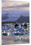 Icebergs in Jokulsarlon Lagoon by Anonymous