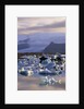 Icebergs in Jokulsarlon Lagoon by Anonymous