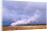 Rainbow over Geothermal Vent in Iceland by Anonymous