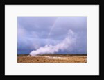 Rainbow over Geothermal Vent in Iceland by Anonymous
