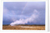 Rainbow over Geothermal Vent in Iceland by Anonymous