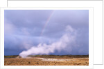 Rainbow over Geothermal Vent in Iceland by Anonymous