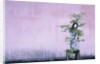 Tree in Vase and Pink Wall by Anonymous