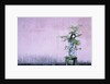 Tree in Vase and Pink Wall by Anonymous