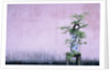 Tree in Vase and Pink Wall by Anonymous