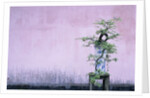 Tree in Vase and Pink Wall by Anonymous
