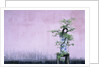 Tree in Vase and Pink Wall by Anonymous