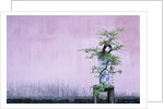 Tree in Vase and Pink Wall by Anonymous