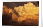Ominous Storm Clouds Above Texas by Anonymous